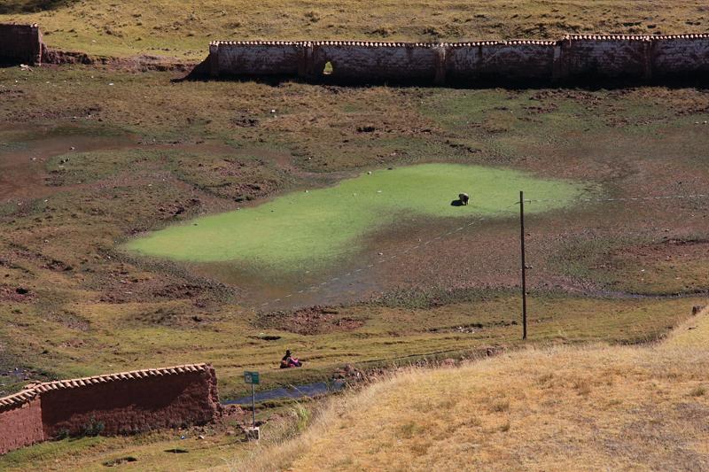 347-Chinchero,10 luglio 2013.JPG